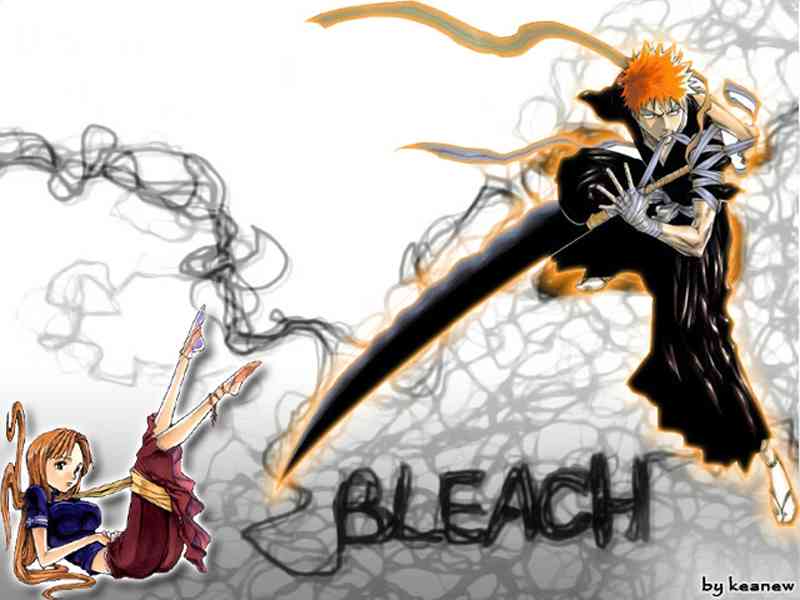 Voir l'image bleach.jpg en taille relle