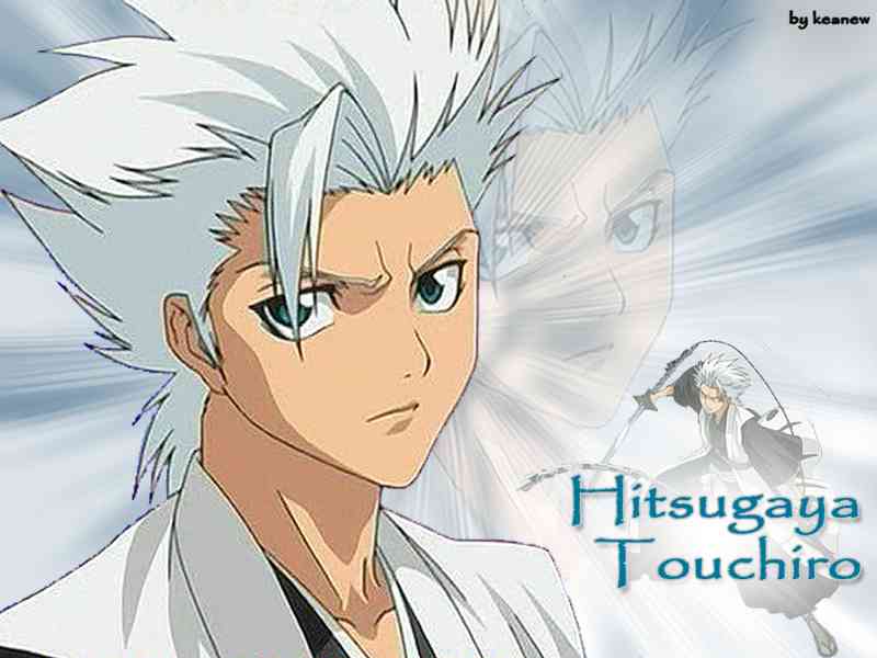 Voir l'image hitsugaya 2.jpg en taille relle