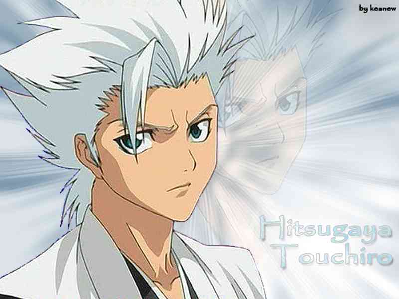 Voir l'image hitsugaya touchiro.jpg en taille relle