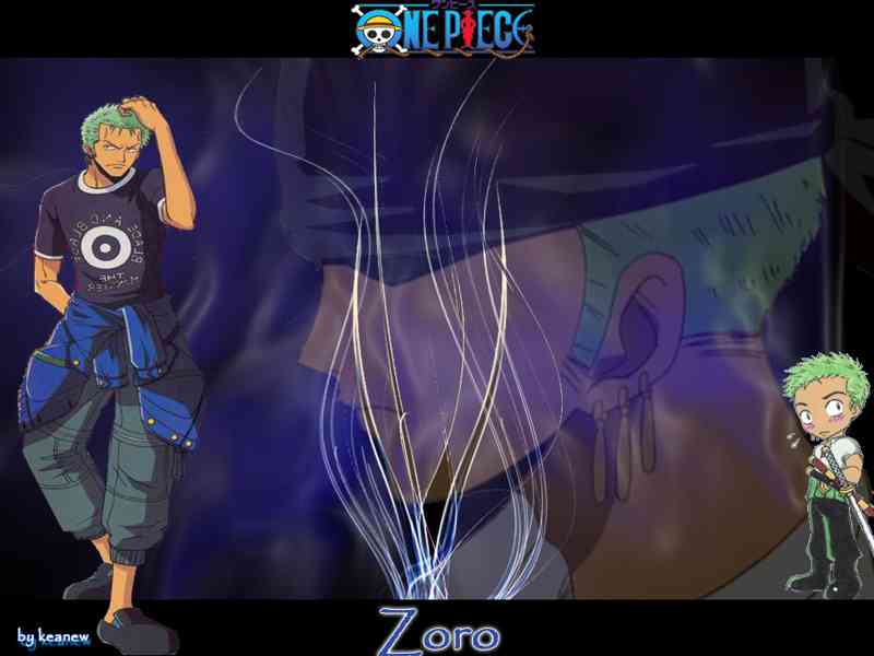 Voir l'image zoro.jpg en taille relle